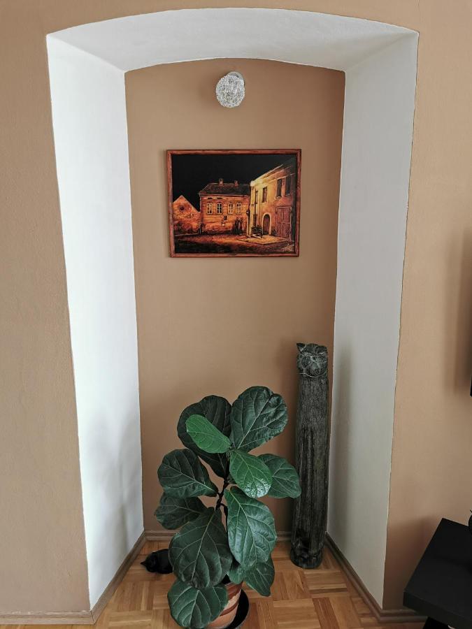 Apartmán Antonínská Znojmo Esterno foto