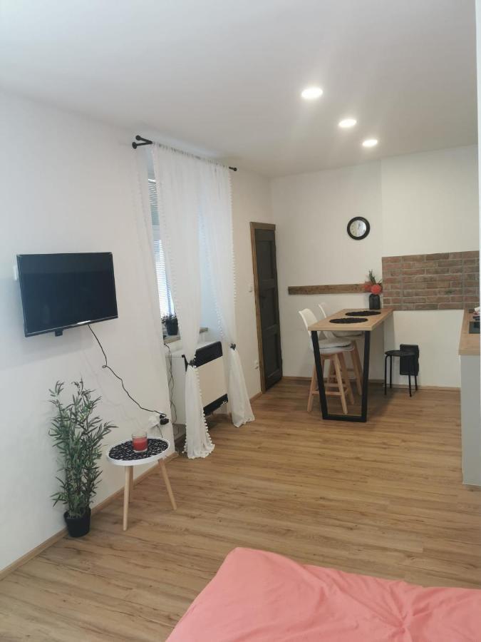 Apartmán Antonínská Znojmo Esterno foto