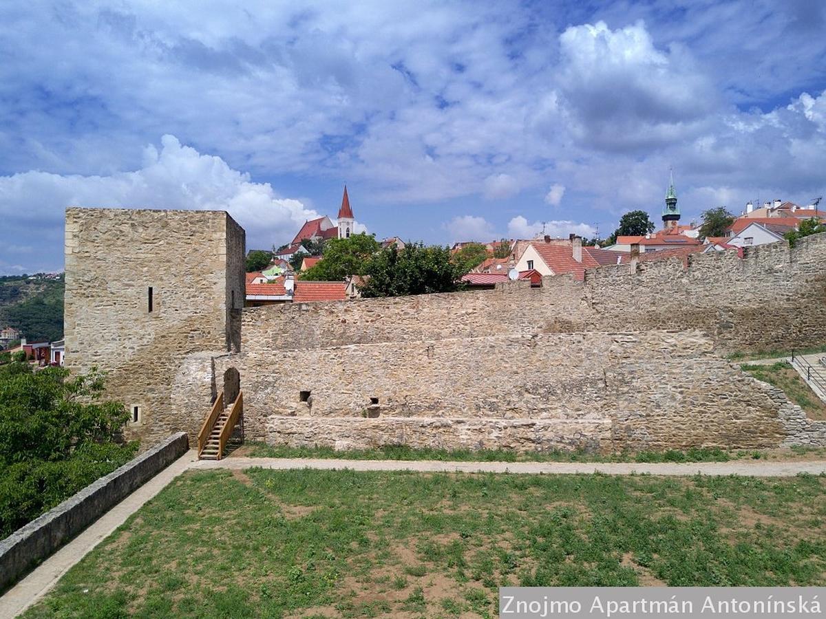 Apartmán Antonínská Znojmo Esterno foto