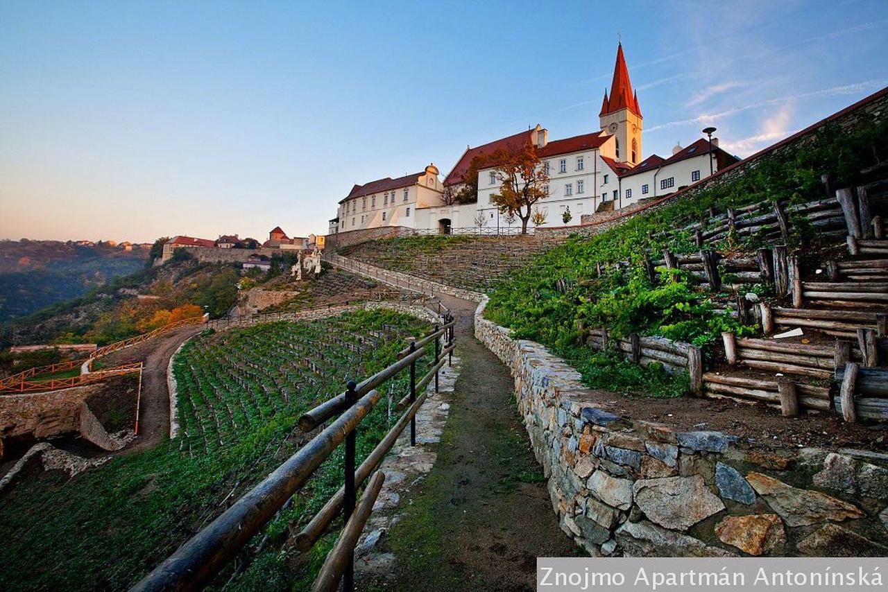 Apartmán Antonínská Znojmo Esterno foto