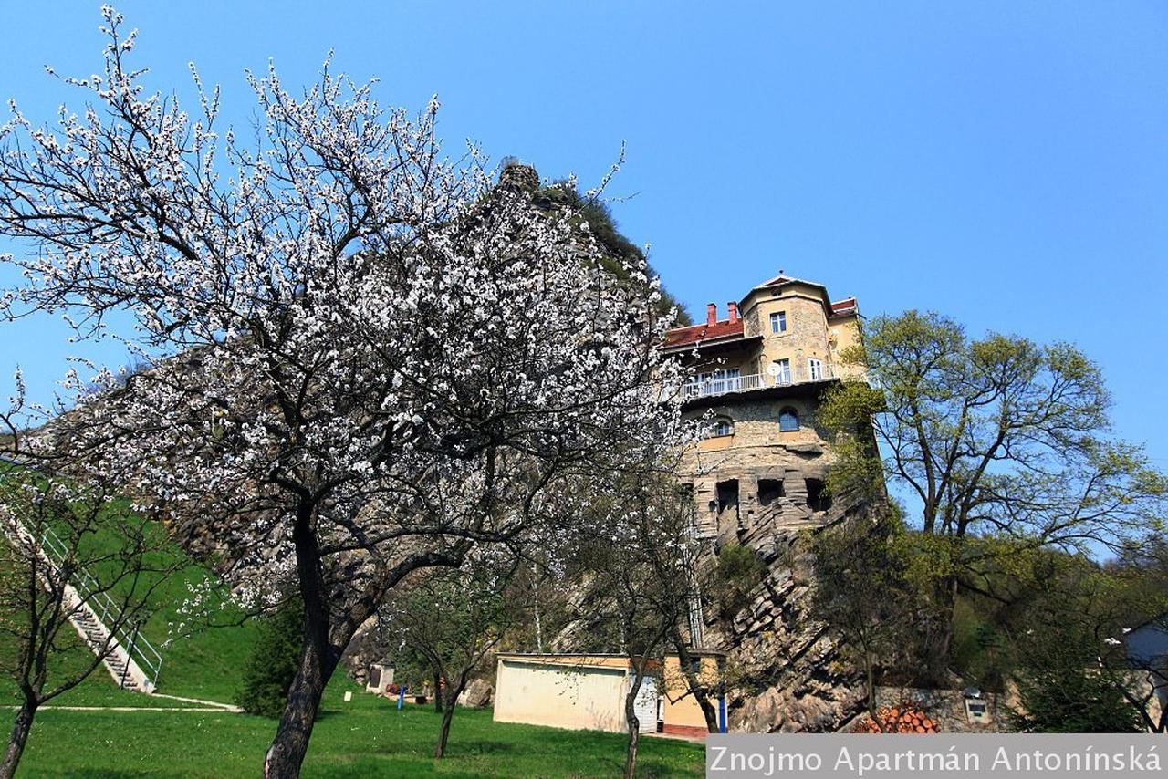 Apartmán Antonínská Znojmo Esterno foto