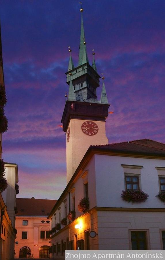 Apartmán Antonínská Znojmo Esterno foto